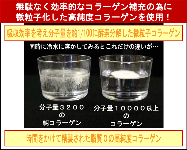 Amazon | 純コラーゲン イージーサプリファイン1200 3箱セット